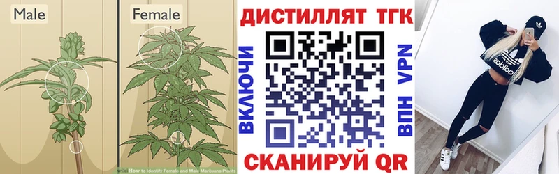 Дистиллят ТГК гашишное масло Любим